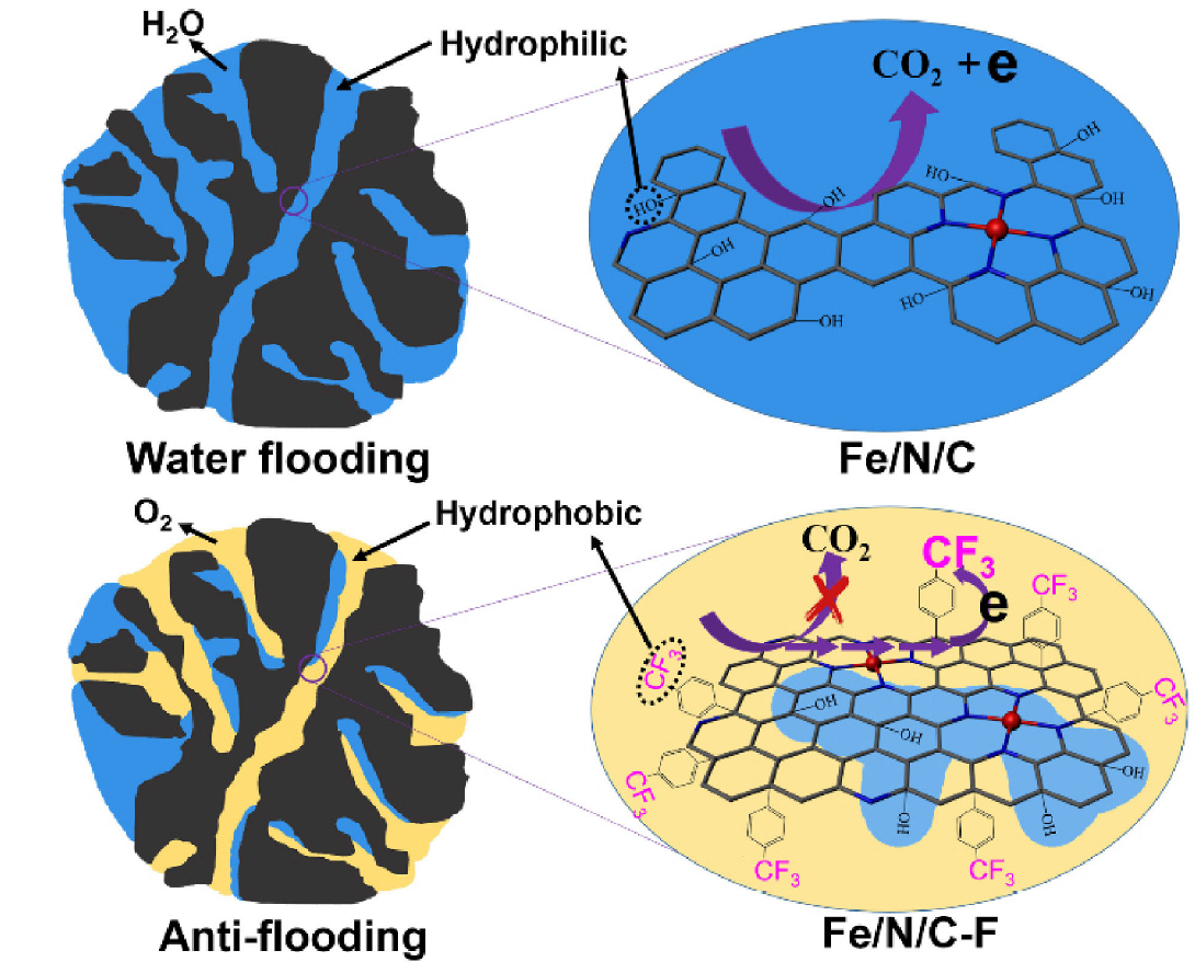 Diagram of surface-fluorinated fuel-cell catalyst